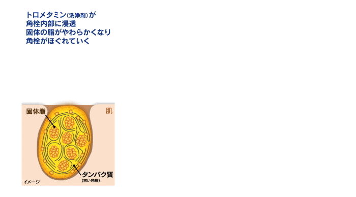 トロメタミン（洗浄剤）がタンパク質をゆるめ角栓内部に浸透 → 固体の脂を水に溶けやすい状態に変化させる → すすぐと角栓内部に水が入り込み角栓が自ら崩壊！