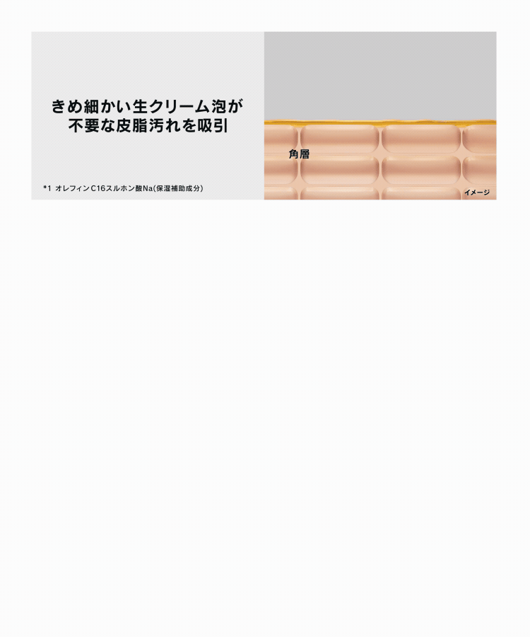きめ細かい生クリーム泡が不要な皮脂汚れを吸引→すすぎ時に、独自成分(*1)が水分を抱え込み(*2)、水分膜を形成→角層と水分膜が一体化し、水分ホールド肌(*3)へ。(*1 オレフィンC16スルホン酸Na(保湿補助成分)/*2 *1が水中のミネラル成分と結びつくことにより/*3 オレフィンC16スルホン酸Na(保湿補助成分)が水中のミネラル成分と結びつき、角層表面で水分を保持する膜を形成した状感)