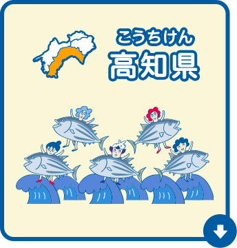 高知県（こうちけん）