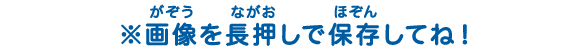 画像（がぞう）を長押（ながお）しで保存（ほぞん）してね