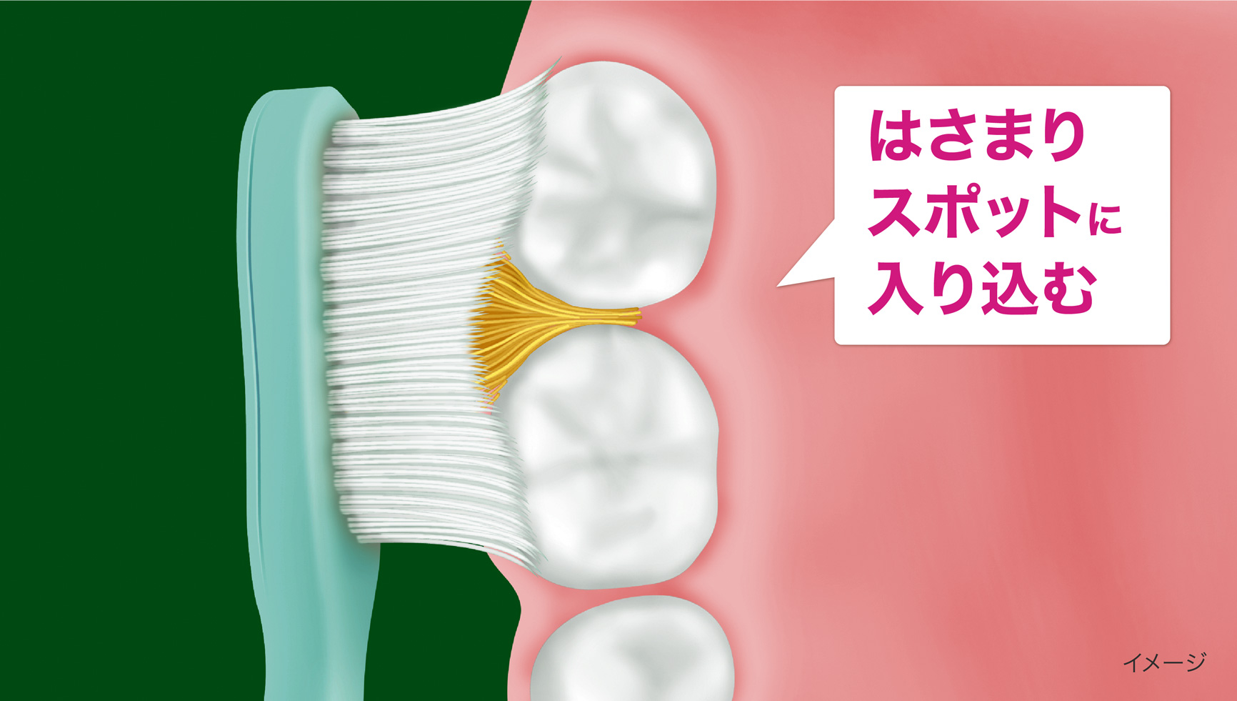 はさまりスポットに入り込む