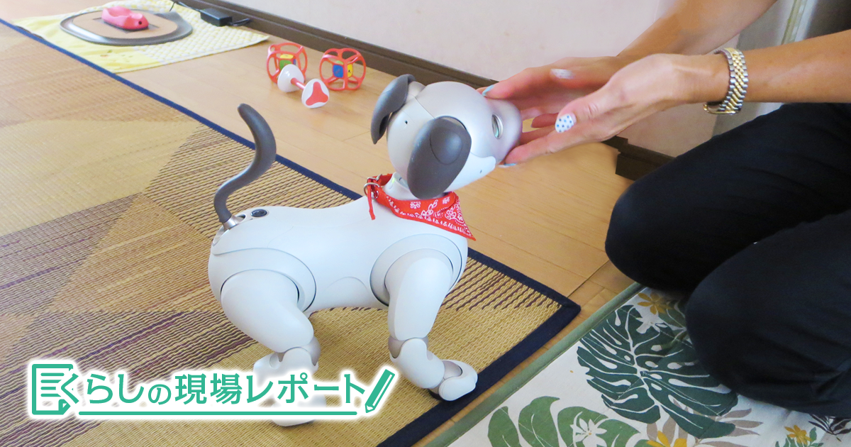 Ai時代の新たなパートナー ロボットペットが家族になる日 くらしの現場から 花王 くらしの研究 Ai時代の新たなパートナー ロボットペットが家族になる日 くらしの現場から 花王 くらしの研究