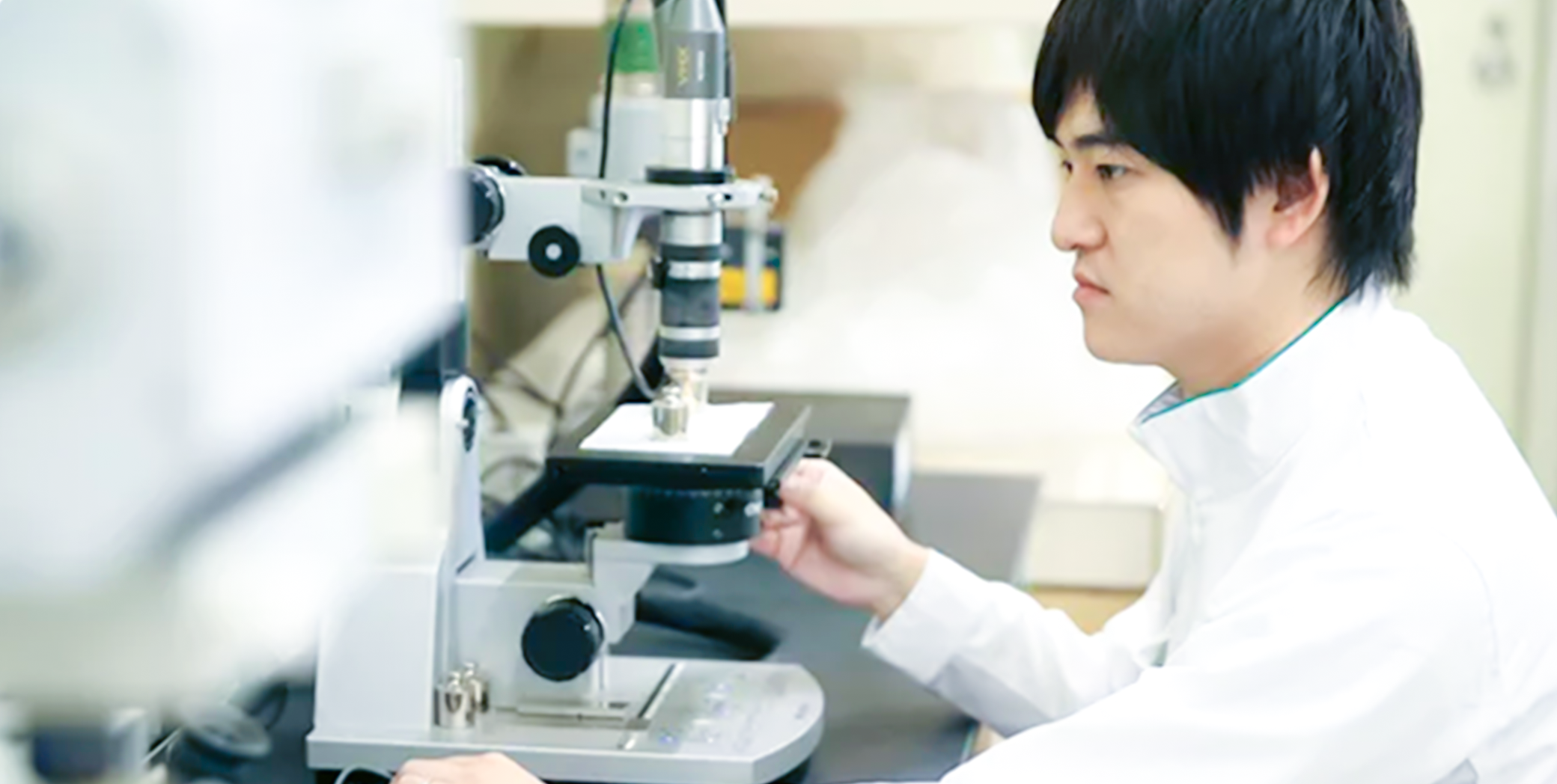 試作段階の不織布の繊維構造を確認