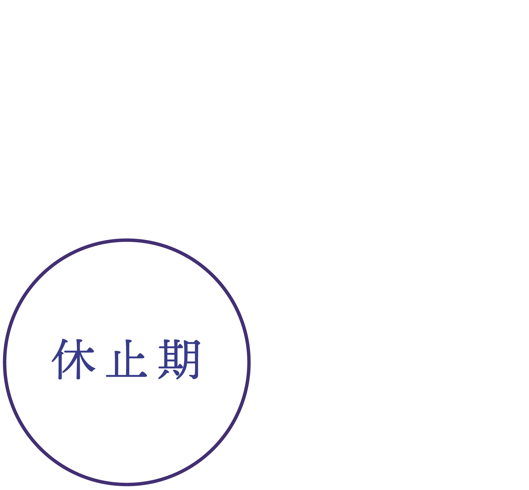 休止期