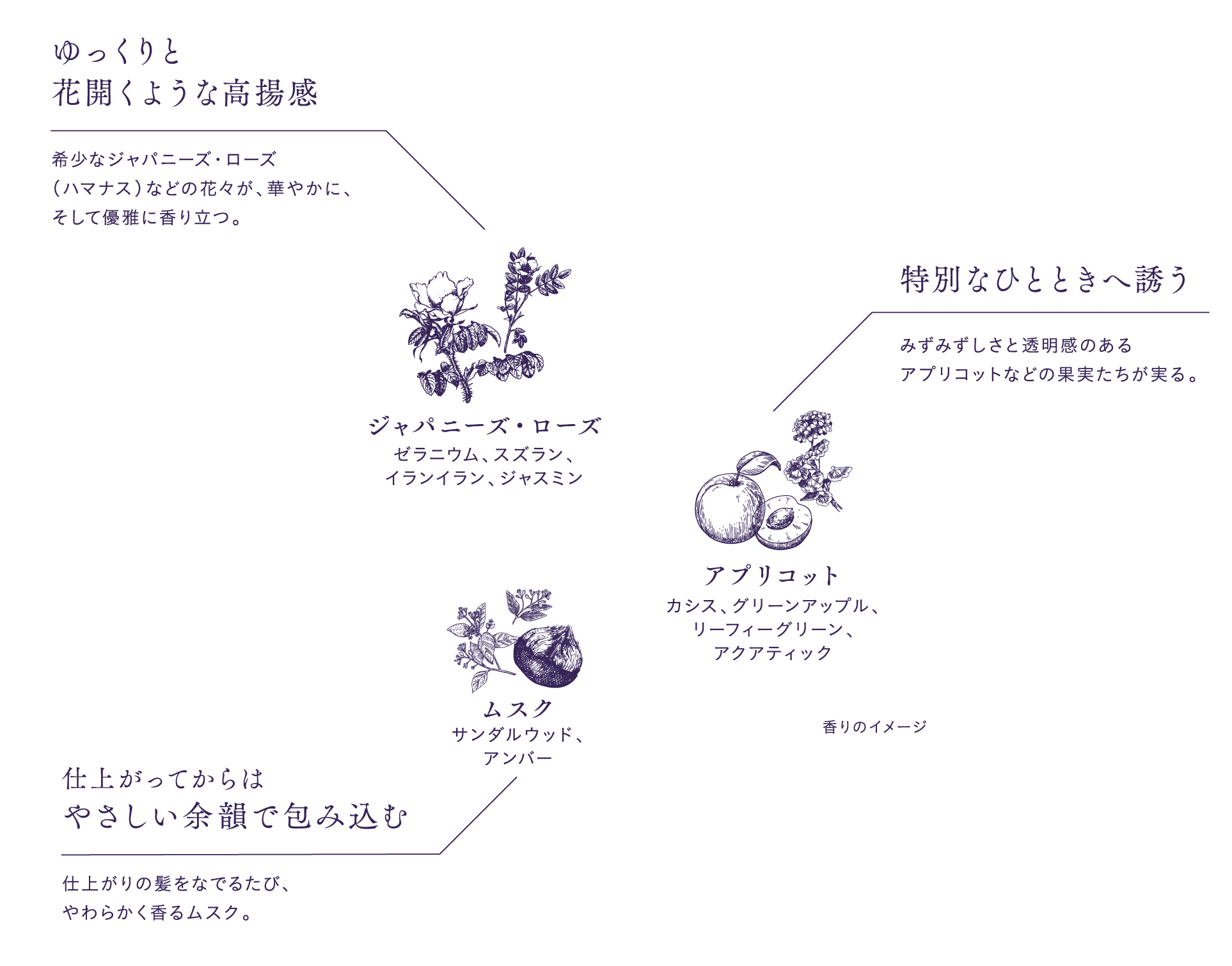 ゆっくりと花開くような高揚感(ジャパニーズローズ)、特別なひとときへ誘う(アプリコット)、仕上がってからはやさしい余韻で包み込む(ムスク)