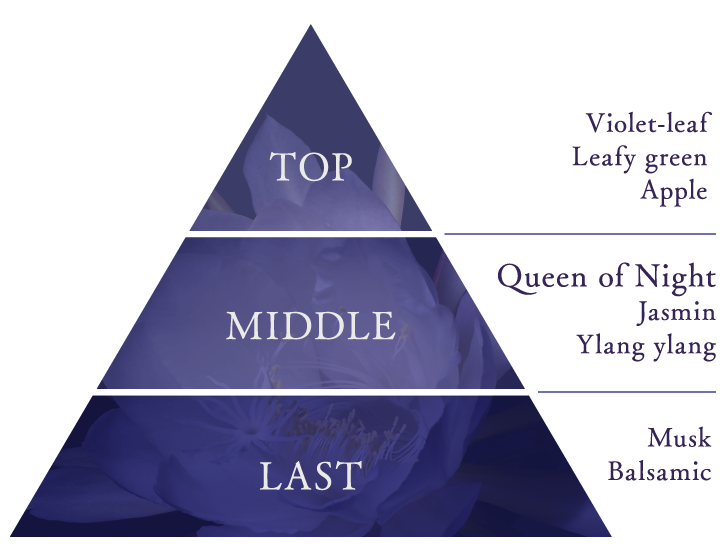 TOP:Violet-leaf、Leafy green、Apple MIDDLE:Queen of Night、Jasmin、Ylang ylang LAST:Musk、Balsamic